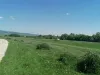 O speţă „mai catolic decât papa”