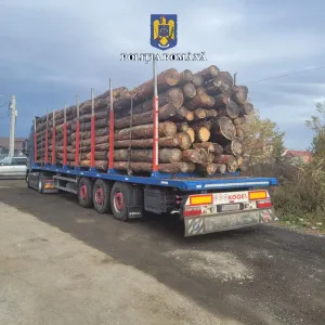 Pe avizul de Zărneşti, marfă de la Rupea