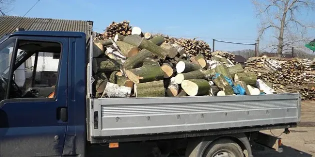 Sătean lăsat fără lemne