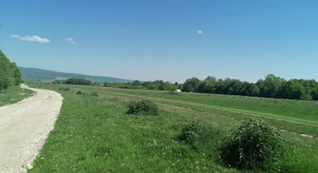 O speţă „mai catolic decât papa”