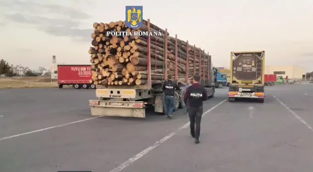 Încă trei mici transporturi de lemne furate