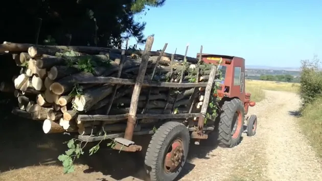 I-au confiscat lemnele din remorca tractorului