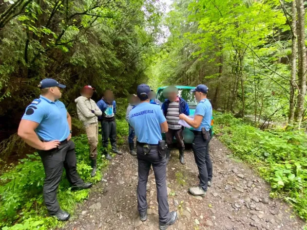 Rămâi interzis, în pădure