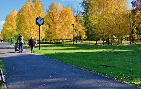 Au început programele „Family Start” şi „Student Invest”. Bani de nuntă şi de casă, cu dobânzi aproape de zero