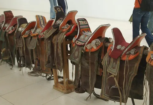 O ţeapă de la Braşov: tuning de cai falsificat 