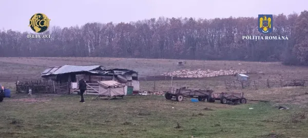 Şi-a luat sclav de 13 ani. Vândut de părinţi, bogatului satului