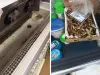 Şeful ANPC a condus echipa de control prin Piaţa Astra din Braşov. Nici Sergiana n-a scăpat
