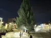 Râşnovul are brad cât al Braşovului. 20 de metri şi peste 70 de ani