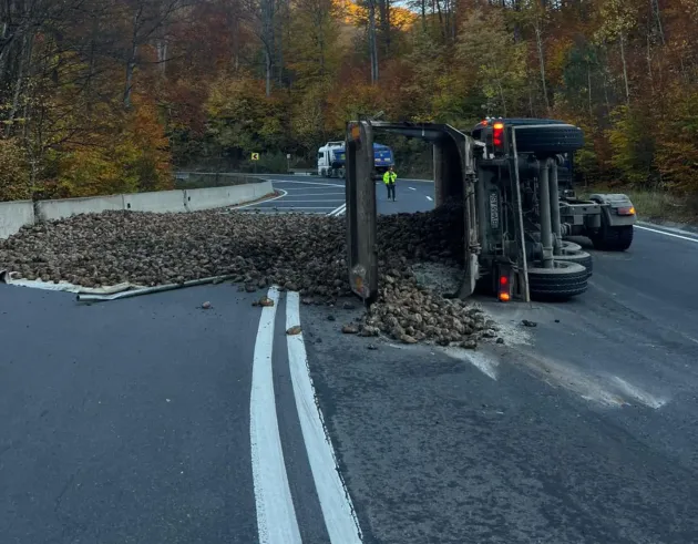 Camion cu sfeclă, răsturnat pe DN 13