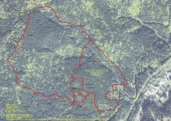 Implementarea Planului Naţional de acţiune pentru conservarea populaţiei de urs brun din România (cod SMIS 136899)