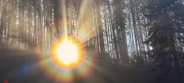 „Curcubeul rotund” a apărut iar