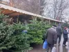 Brazi frumoşi şi scumpi în pieţele Braşovului