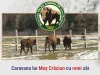 Ziua Porţilor Deschise, duminică, în Rezervaţia de zimbri de la Vama Buzăului