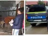 Hrană pentru animale, cadouri pentru copii