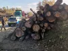 ITM Braşov: 23 de „forestieri” controlaţi