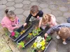 Banii pentru activităţile din „Săptămâna verde”, strânşi doar prin asociaţii de părinţi