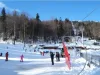 Predeal, staţiune de top la… preţuri