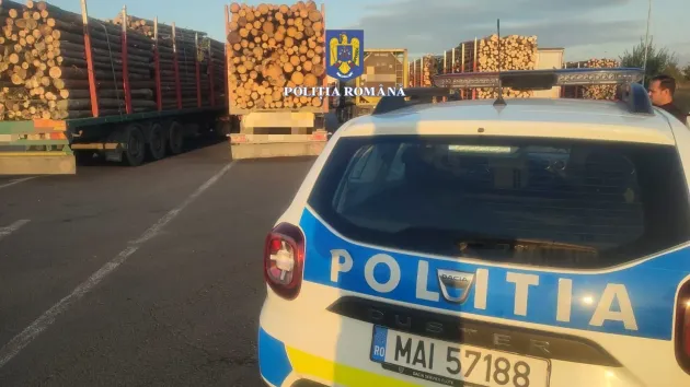 259 de maşini de lemne oprite, 46 cu probleme
