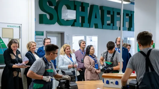 Burse de excelenţă Schaeffler: „10 pentru 10”