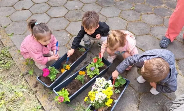 Banii pentru activităţile din „Săptămâna verde”, strânşi doar prin asociaţii de părinţi