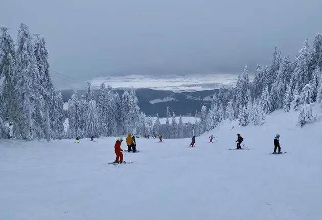 „De banii ăia stau 10 zile în Austria”