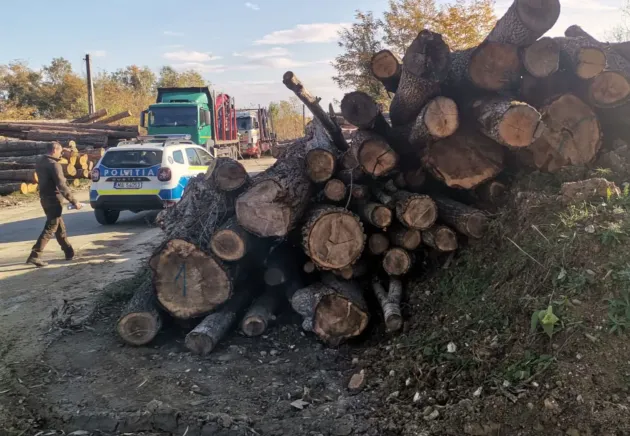 ITM Braşov: 23 de „forestieri” controlaţi
