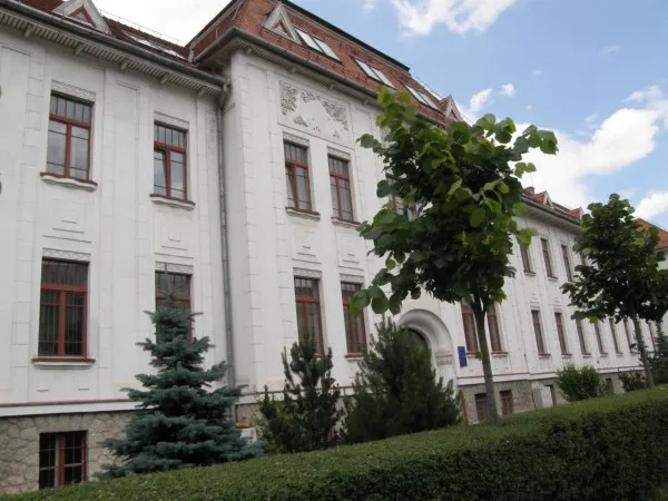 Judecătorii de la Braşov, „maimuţoi” care „emit inepţii”
