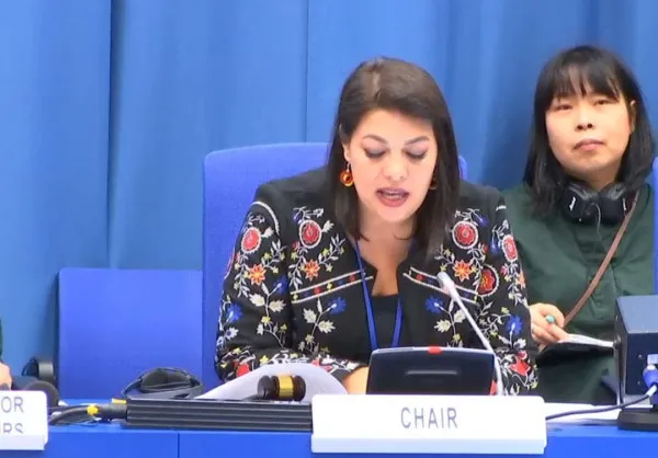 România, la preşedinţia Subcomitetului Ştiinţific şi Tehnic al Comitetului ONU pentru utilizarea paşnică a spaţiului cosmic