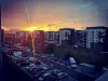 Treptat, ne mutăm în chirie