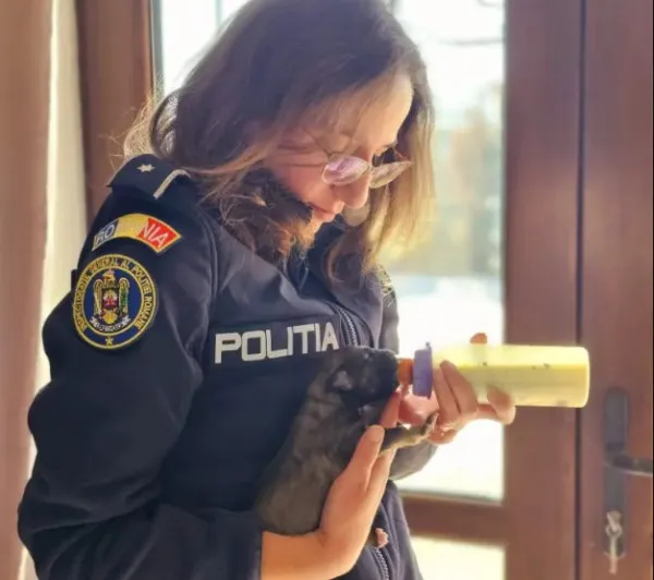 2 poliţişti, „părinţi” pentru 7 căţei