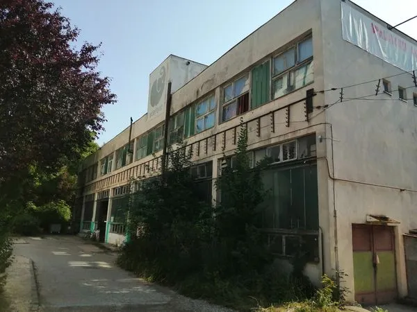 Coliban cu „50 de euro”, Rusu cu 50 de saci de cartofi