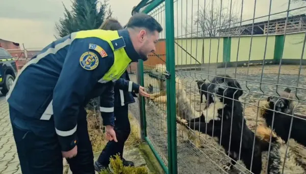 Cu ce se mai laudă Poliţia Locală Braşov