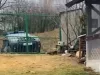 Alertă, bursuc!
