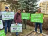 Pentru lemn, în stradă: Pădurea se păzeşte la cioată, nu în fabricile de mobilă!
