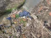 Mai puţine gunoaie în albia unui pârâu care trece prin comuna Sânpetru. Pentru ecologizarea cursului de apă, primăria plăteşte 37.500 de lei