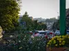 Două firme din Ilfov se vor ocupa de spaţiile verzi ale Braşovului în schimbul a peste 60 de milioane de lei