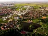 Ucigătorul de pisici, căutat prin Noua