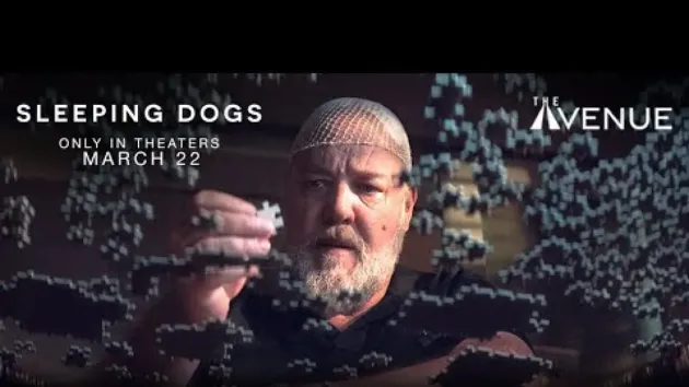„Sleeping Dogs”, şi la Braşov