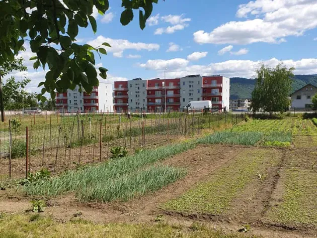 2.300 - 9.000 de lei: Cât ar putea costa viaţa la ţară în 2024?