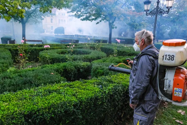 Braşovul intră în dezinsecţie