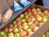 Corn şi fructe, fără lapte, în şcoli, pentru elevii din municipiul Braşov