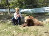 „În loc să cumpărăm un animal este mai simplu şi mai benefic să adoptăm unul”