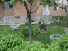 După ei, amendăm tot Braşovul! Poliţia Locală a devenit „Poliţia Florilor”. Un braşovean a fost amendat cu 100 de lei pentru că a plantat flori în grădina blocului