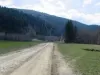 Proiectul drumului din Valea Doftanei a intrat în etapa exproprierilor. Proprietarii din judeţul Braşov vor primi, în total, aproape 3 milioane de lei