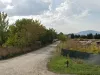 Protest la Stupini: au casă, n-au drum. După 5 ani, de la Primărie, acelaşi răspuns: e complicat
