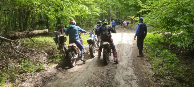 Distracţia „motorizată” în pădurile Braşovului costă: 1.000 de lei de persoană