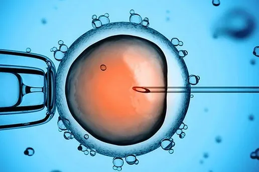 Pentru 2024, 10.000 de fertilizări in vitro