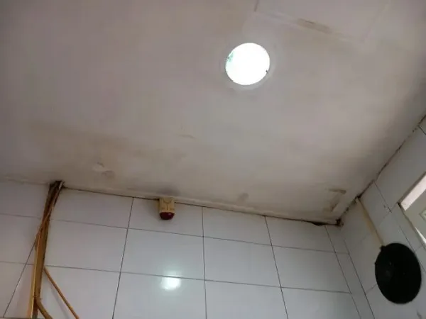Un gândac în burger, OPC-ul i-a găsit „fraţii”