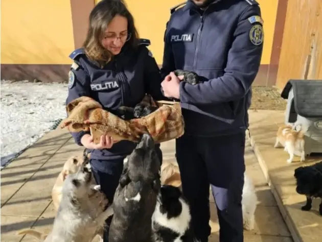 12 săteni amendați pentru câini, alți 4 cu dosar penal