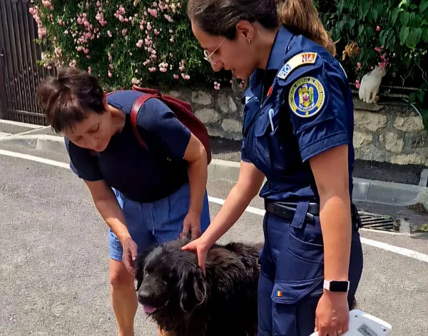 Găsit după un an. Un caz cu „morală” de la IPJ, faceţi buletin câinelui